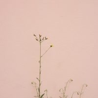 marina-reich-Lh6G7kMdGr0-unsplash