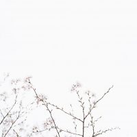 masaaki-komori-qgEKJkf4sKY-unsplash